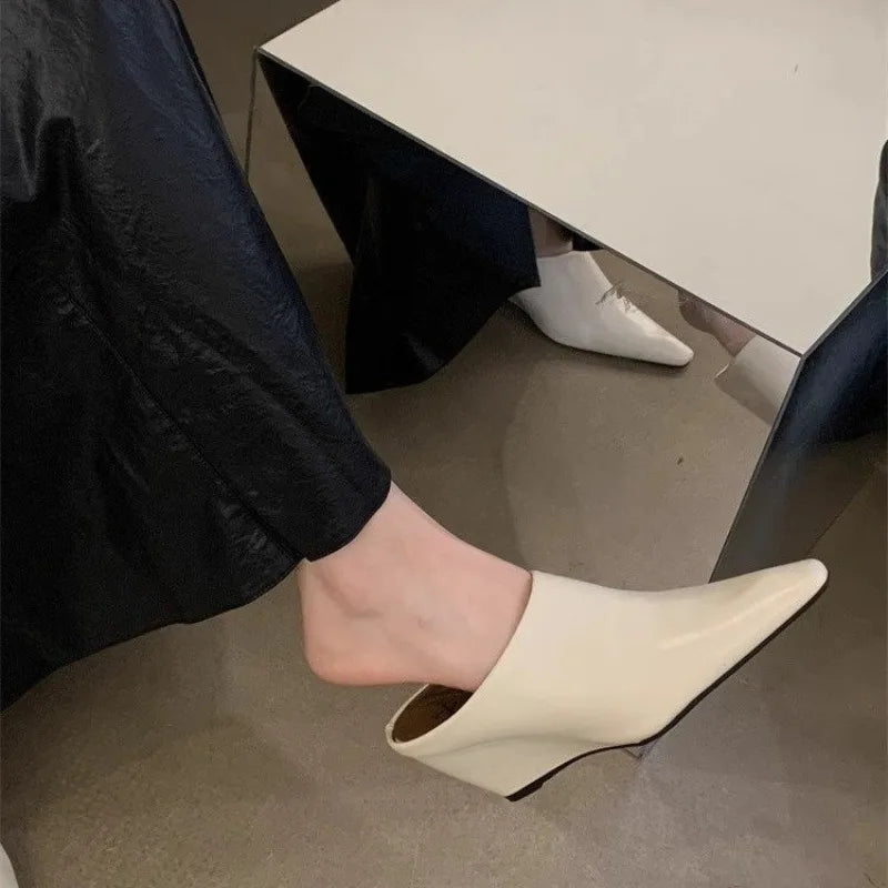 Women's Fashion Baotou Slippers Spring New Pointed Head Deep Mouth Anti-slip Wear-resistant Slip-on Wedge Sandals LadyShow.Store