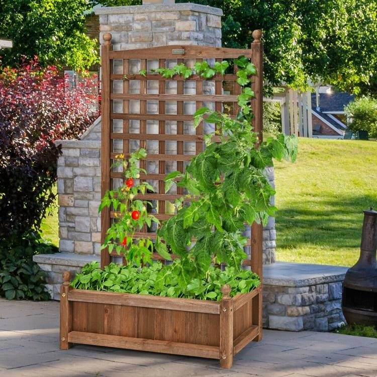 Solid Wood Farmhouse Garden Planter Box with 48-inch High Trellis FastFurnishings