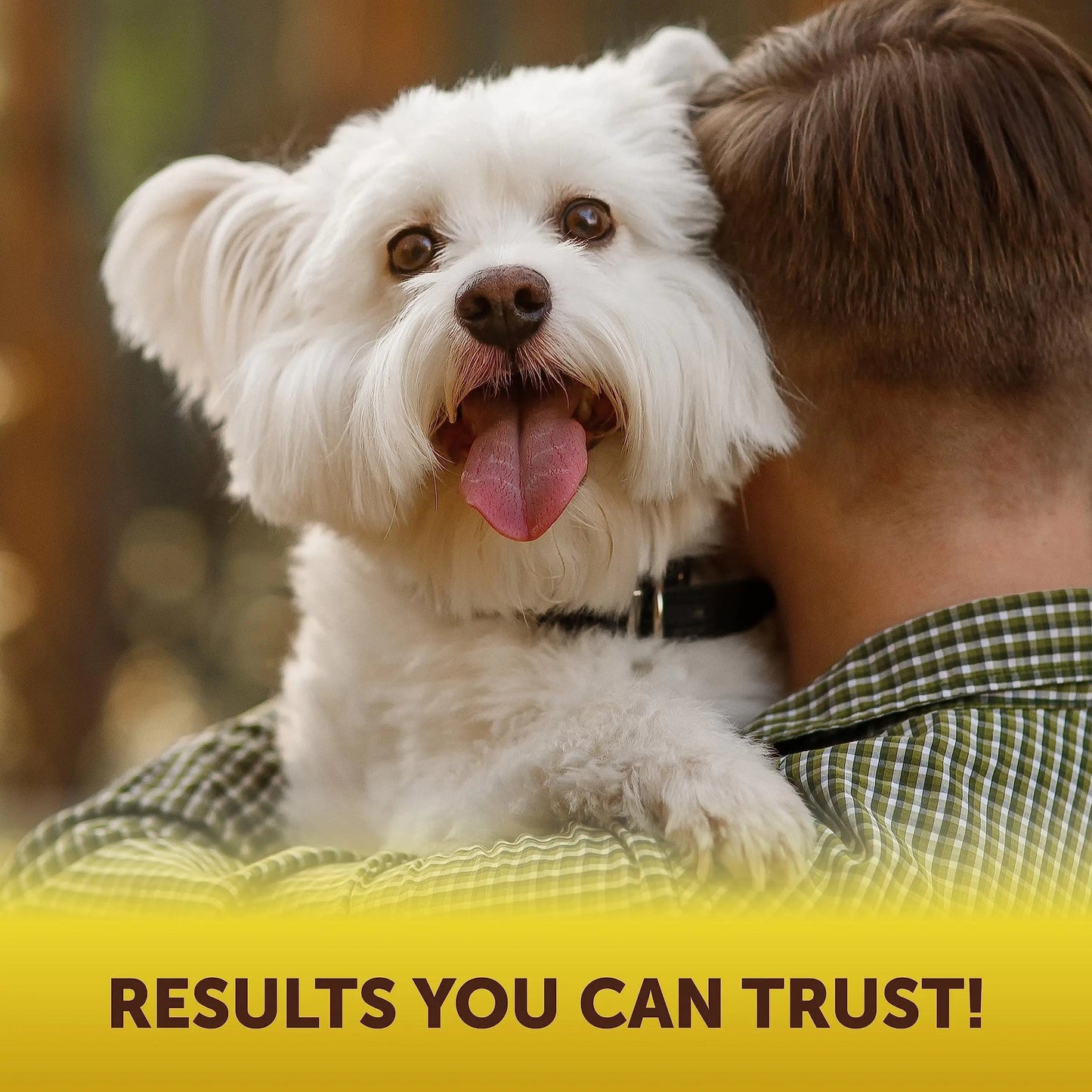 Scoot Stopper Soft Chews   Fiber for Dogs   Dog Anal Gland and Digestion Support Best YouTube Store
