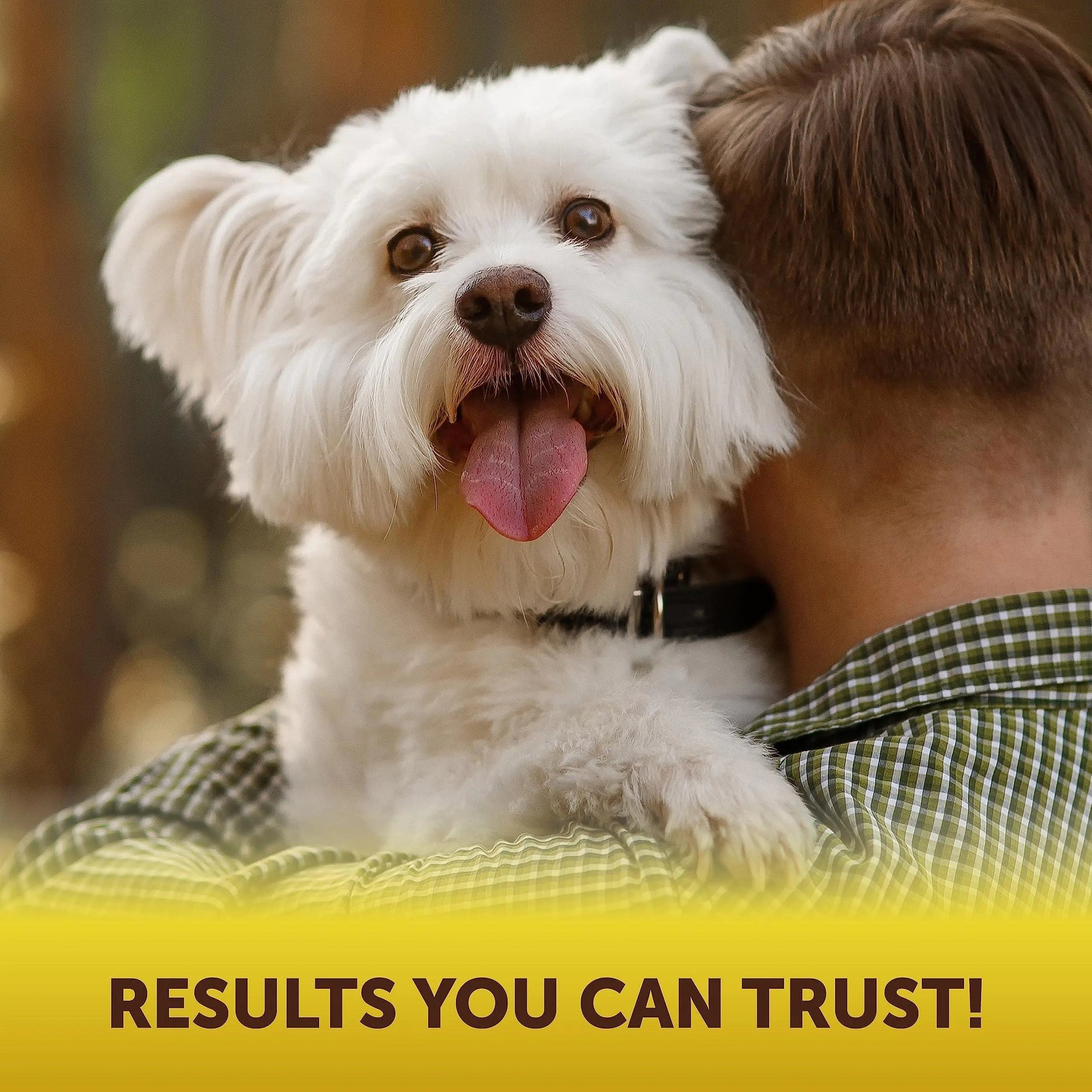Scoot Stopper Soft Chews   Fiber for Dogs   Dog Anal Gland and Digestion Support Best YouTube Store