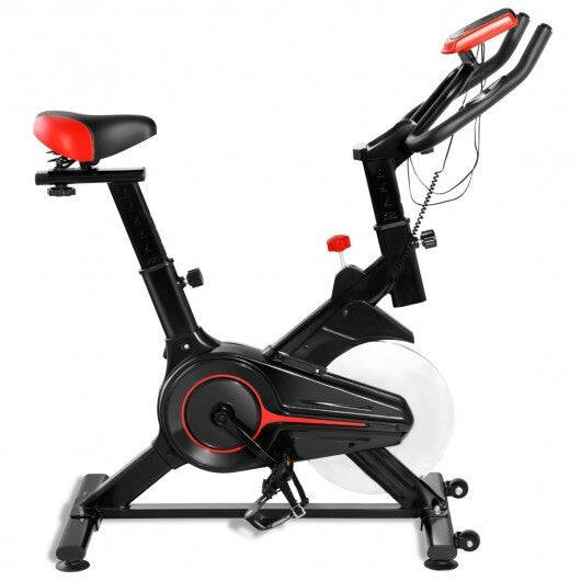 Indoor Exercise Bike Belt Driven Stationary Bike with Pulse Sensor & Phone Holder