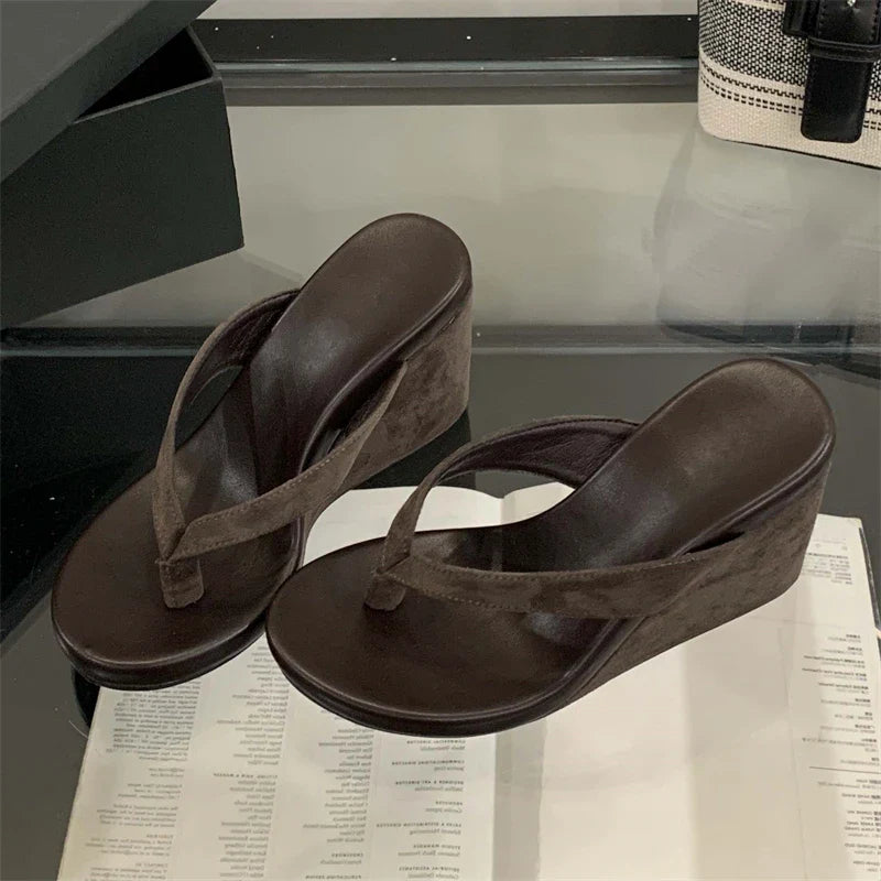 Aneikeh Fashion Summer Clip Toe Platform Wedges Women Slippers  Thick High Heels Beach Flip Flops Slide Shoes 2026 LadyShow.Store