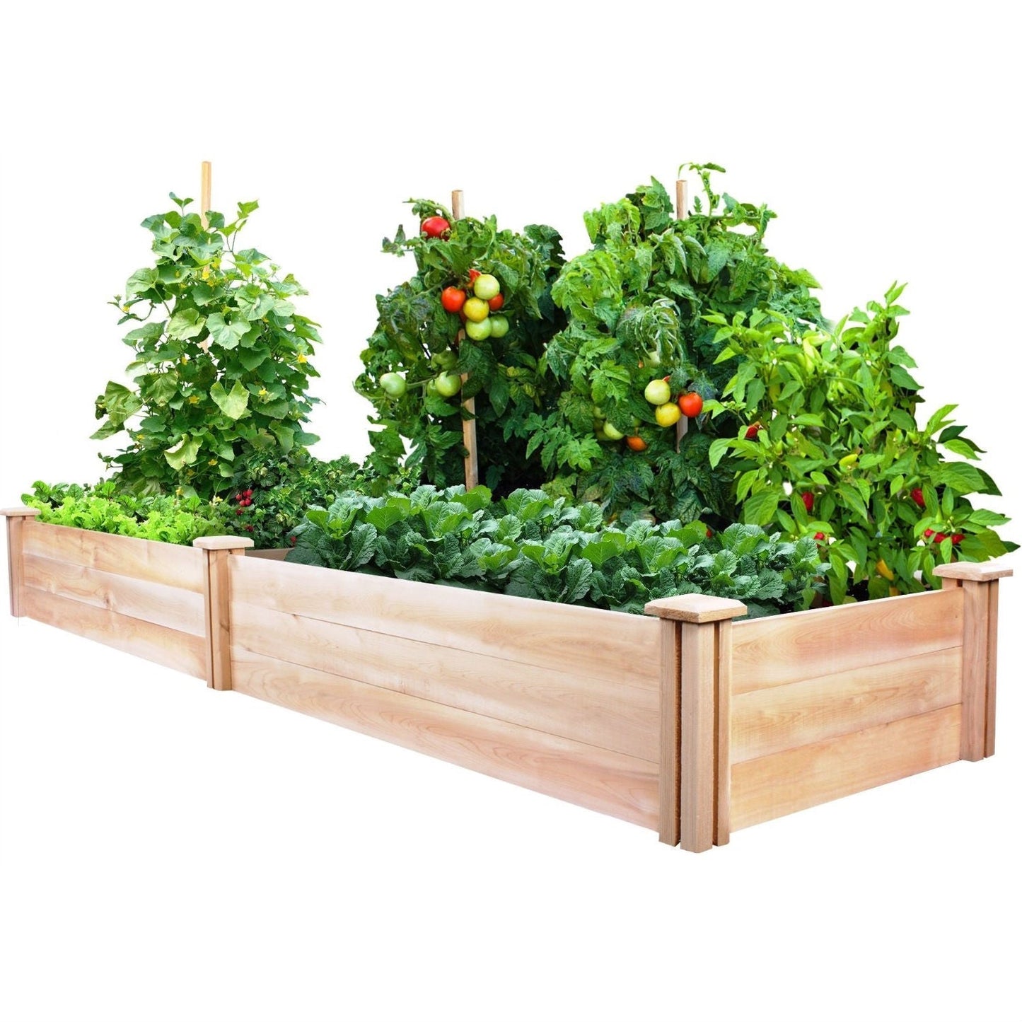 Cedar Wood 2-Ft x 8-Ft Outdoor Raised Garden Bed Planter Frame - Made in USA FastFurnishings