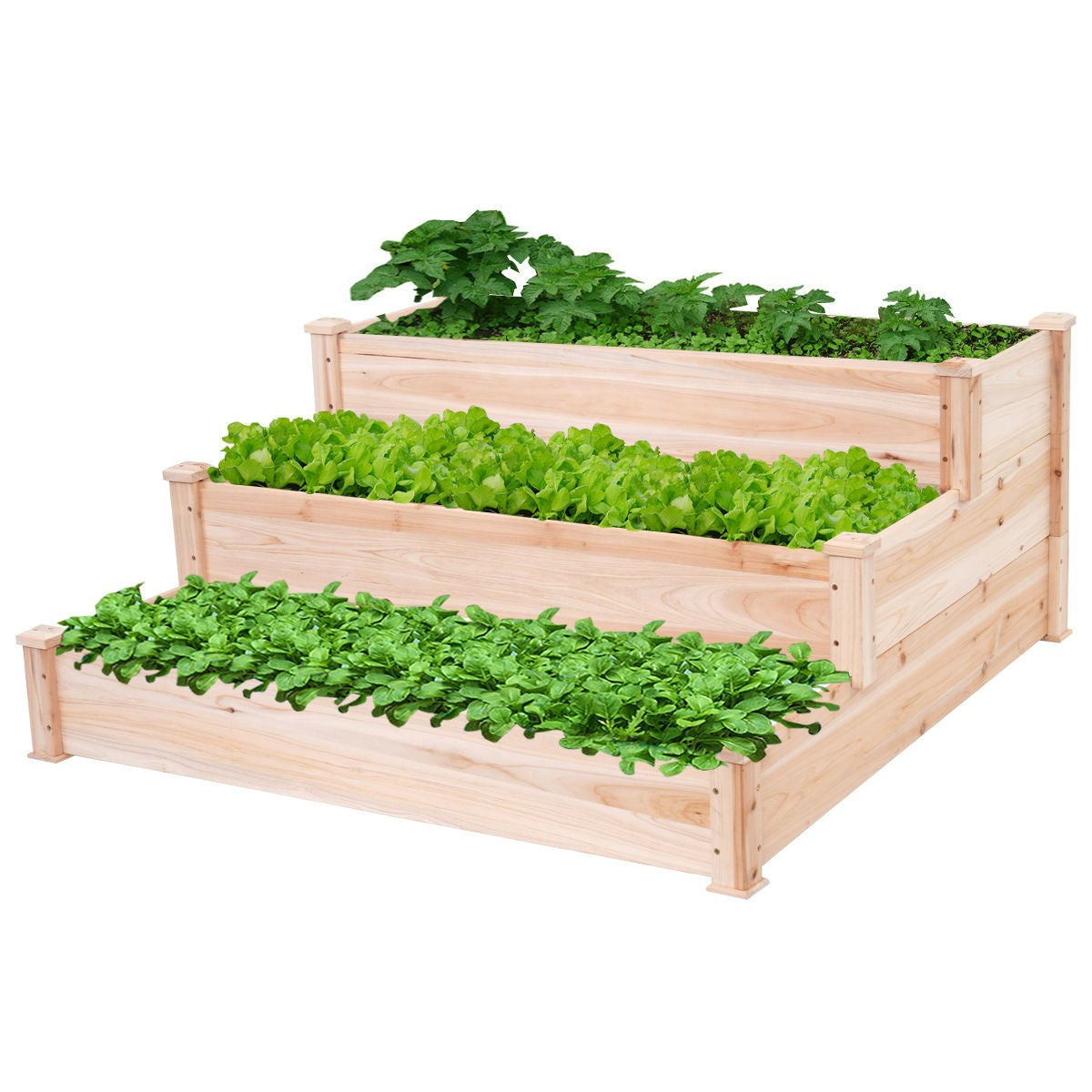 Solid Wood 4 Ft x 4 Ft Raised Garden Bed Planter 3-Tier FastFurnishings