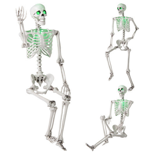 5.5 FT Halloween Skeleton Life-Size Posable for Indoor Outdoor Decoration W2B