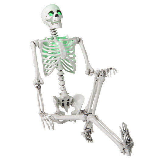 5.5 FT Halloween Skeleton Life-Size Posable for Indoor Outdoor Decoration W2B