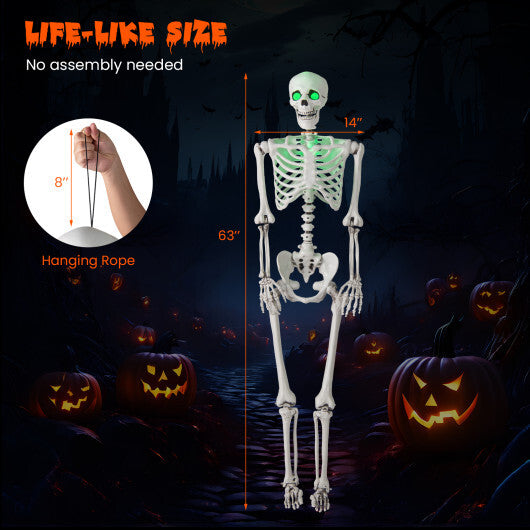 5.5 FT Halloween Skeleton Life-Size Posable for Indoor Outdoor Decoration W2B