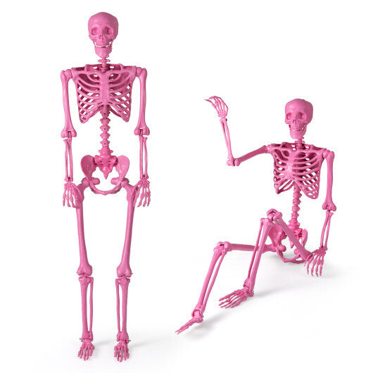 5.5 FT Life-Size Halloween Poseable Skeleton Pink Movable Joints W2B
