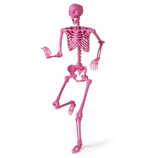 5.5 FT Life-Size Halloween Poseable Skeleton Pink Movable Joints W2B