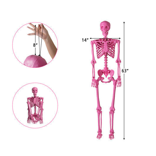 5.5 FT Life-Size Halloween Poseable Skeleton Pink Movable Joints W2B