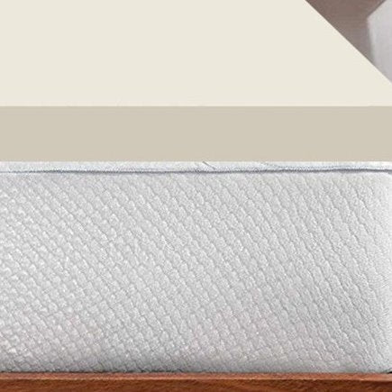 Twin Size 2 Inch Thick Plush High Density Foam Mattress Topper - Medium Firm FastFurnishings