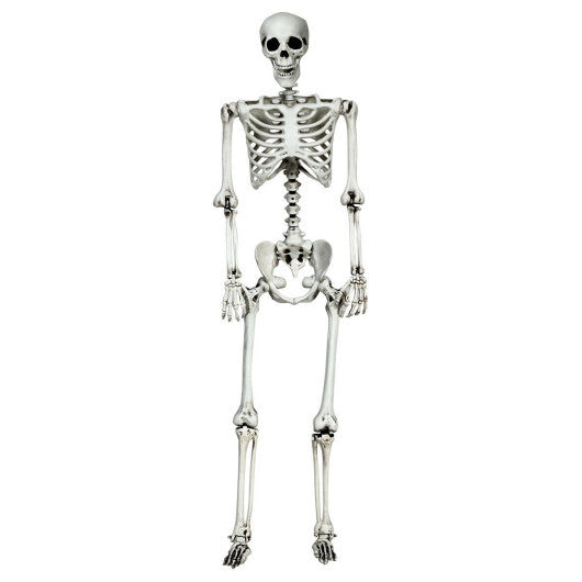 Costway 5.4ft Halloween Christmas Skeleton Life Size Realistic Full Body Hanging with Movable Joints 63 Inches W2B