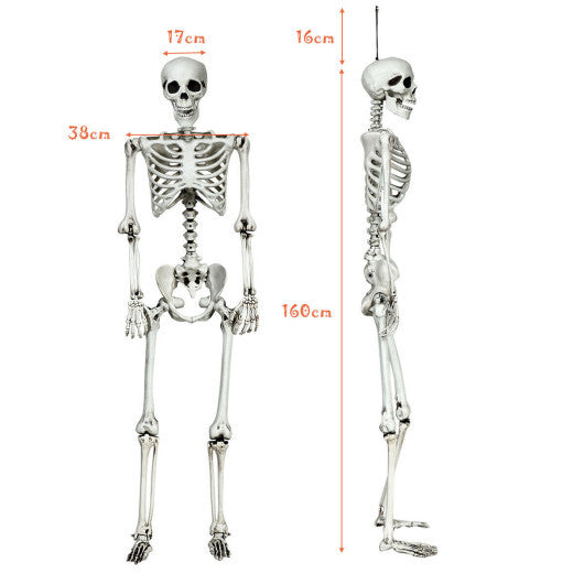 Costway 5.4ft Halloween Christmas Skeleton Life Size Realistic Full Body Hanging with Movable Joints 63 Inches W2B