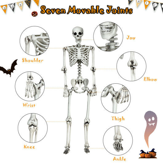 Costway 5.4ft Halloween Christmas Skeleton Life Size Realistic Full Body Hanging with Movable Joints 63 Inches W2B