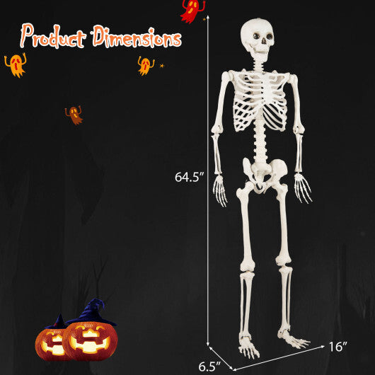 Costway 5.4 FT Halloween Skeleton Decoration Life Size Large Skeleton