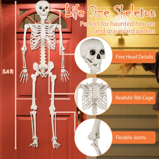 Costway 5.4 FT Halloween Skeleton Decoration Life Size Large Skeleton