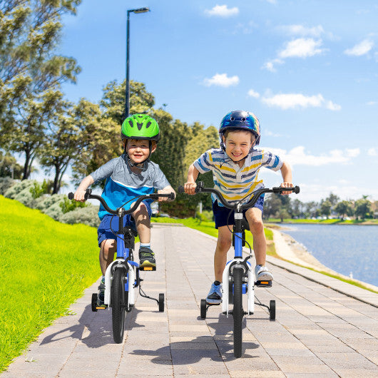 Prorider 14'' Kid's Bike with Removable Training Wheels & Basket for 3-5 Years Old Blue W2B