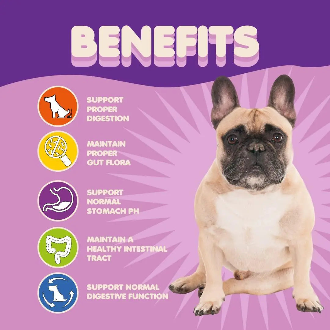 Probiotics for Dogs Puppies Extra Strength 9 Species 5 Billion CFU per Scoop of Best YouTube Store