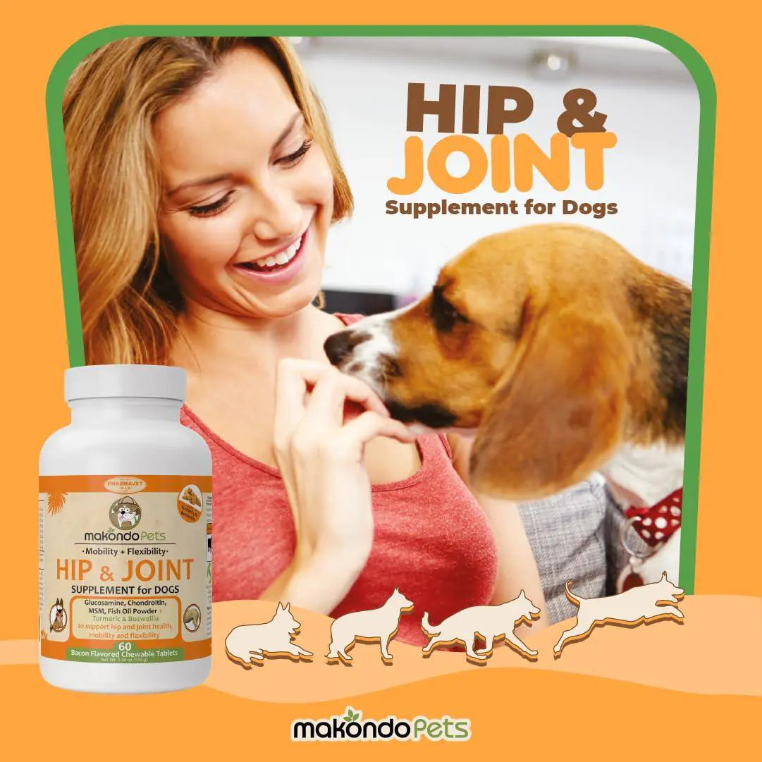 Dog Hip and Joint Supplement with Glucosamine Turmeric for Dogs Chondroitin MSM Best YouTube Store