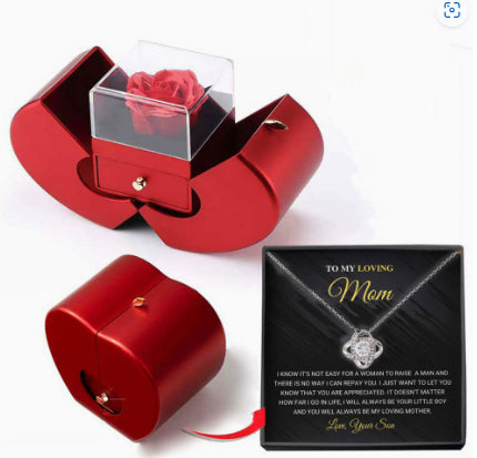 Niche Mother's Day Gift Clavicle Chain Apple Box Set CJD