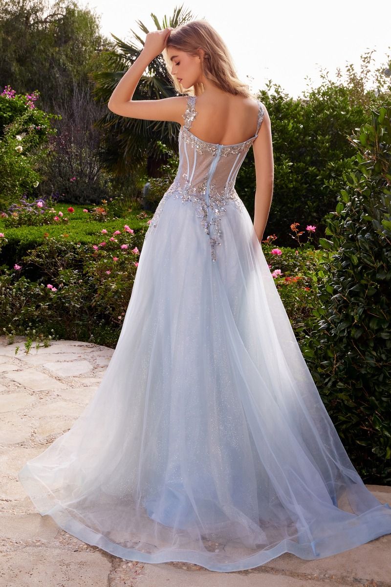 Embellished A-Line Tulle Ball Gown Tux-USA