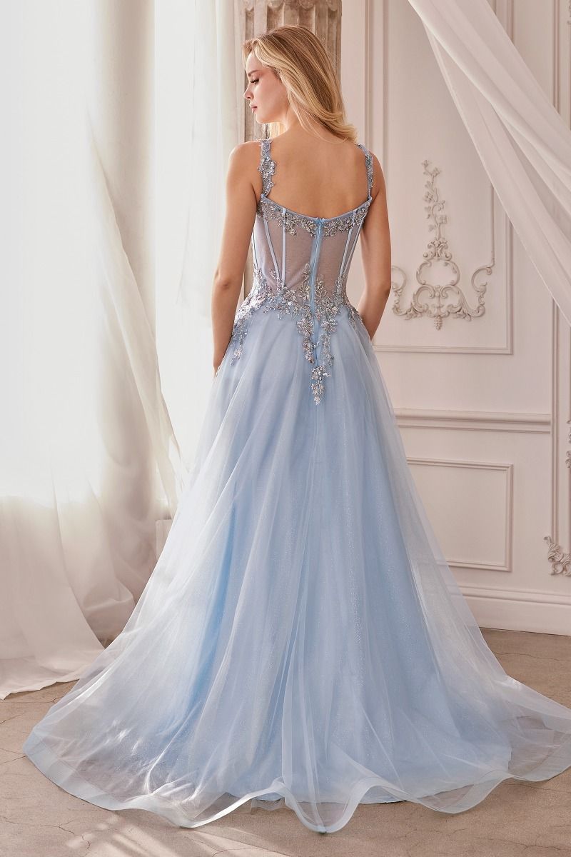 Embellished A-Line Tulle Ball Gown Tux-USA