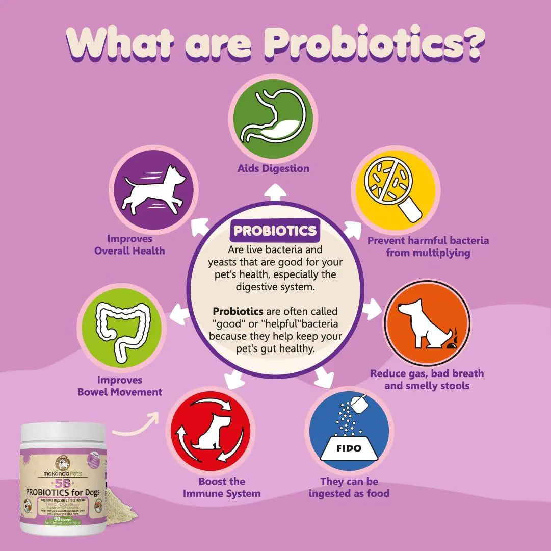 Probiotics for Dogs Puppies Extra Strength 9 Species 5 Billion CFU per Scoop of Best YouTube Store