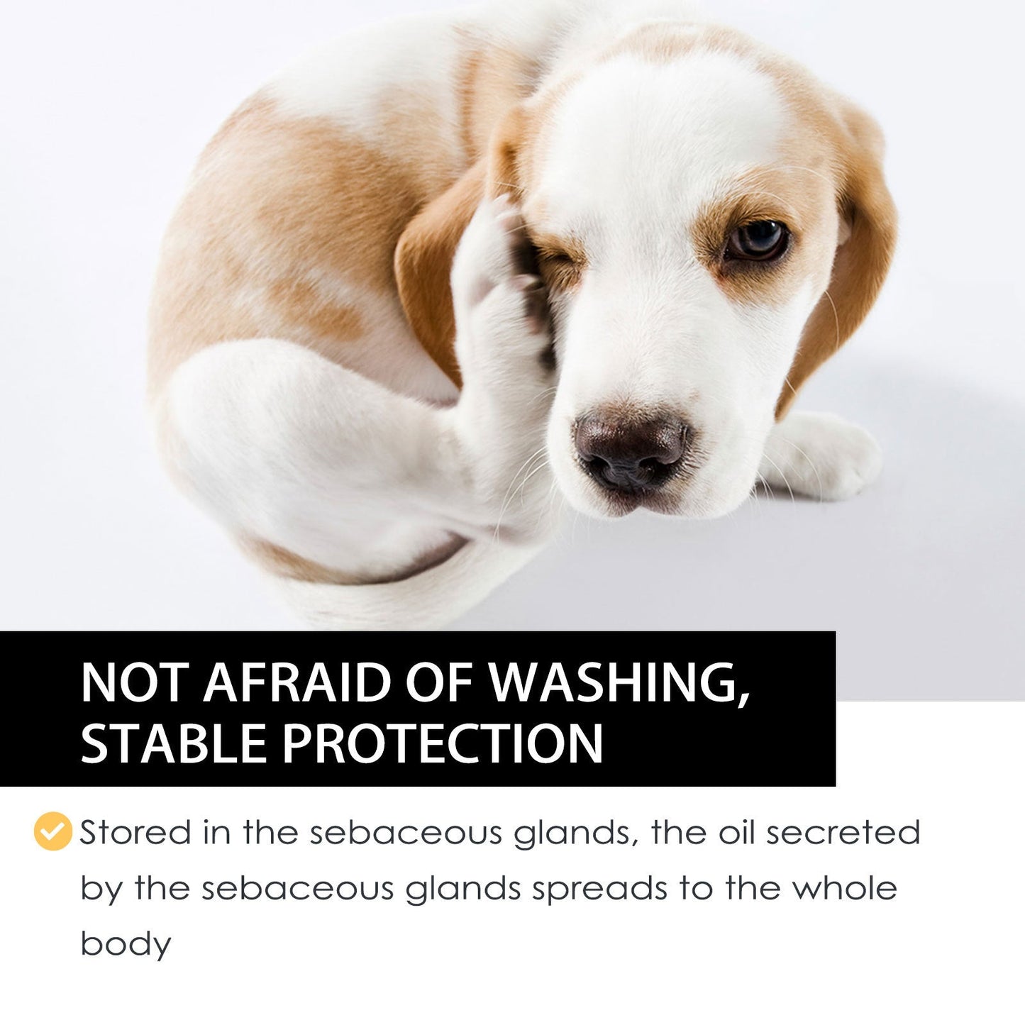 Dog Cat Drops Spray Cleaning Remove Lice Tick Flea LadyShow.Store