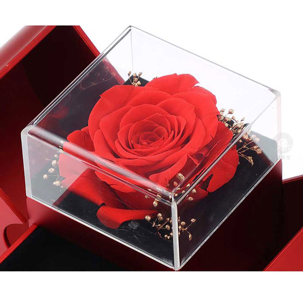 Niche Mother's Day Gift Clavicle Chain Apple Box Set CJD