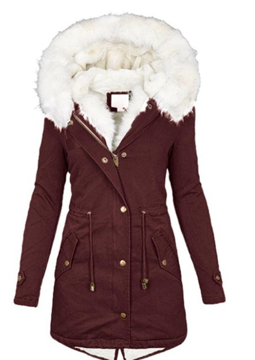 Women's cotton padded jacket with white collar Accent Plus