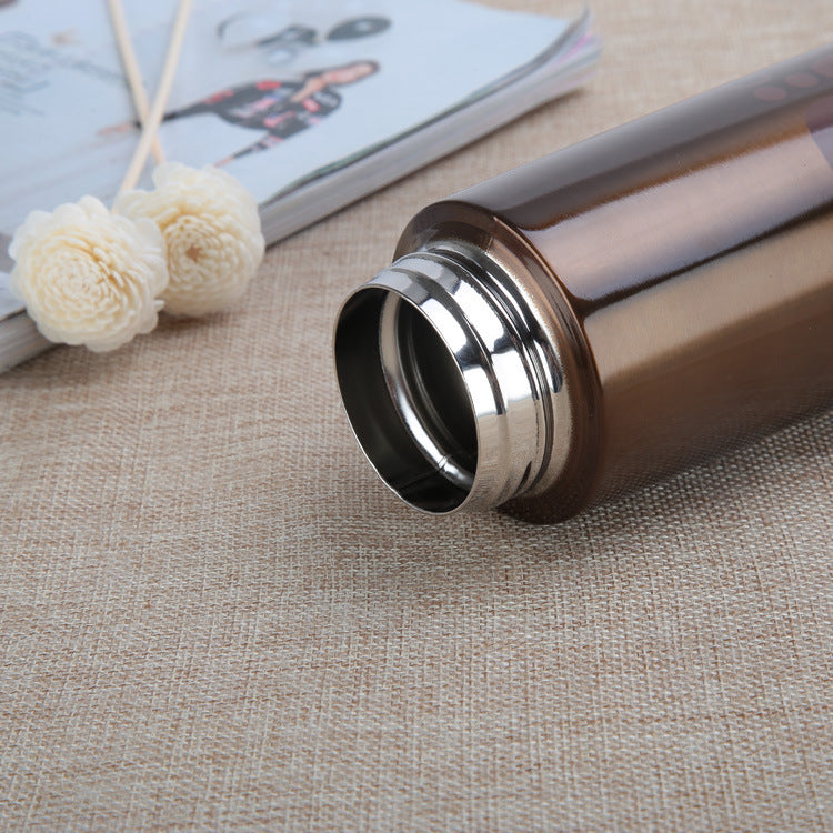 Stainless Steel Insulated Water Bottle and Cup LadyShow.Store