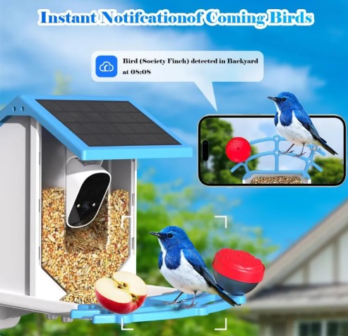 Solar Bird Feeder With Camera Best YouTube Store