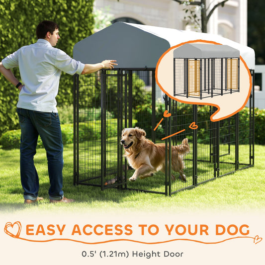 Outdoor Dog Kennel with Two-Room Design Best YouTube Store