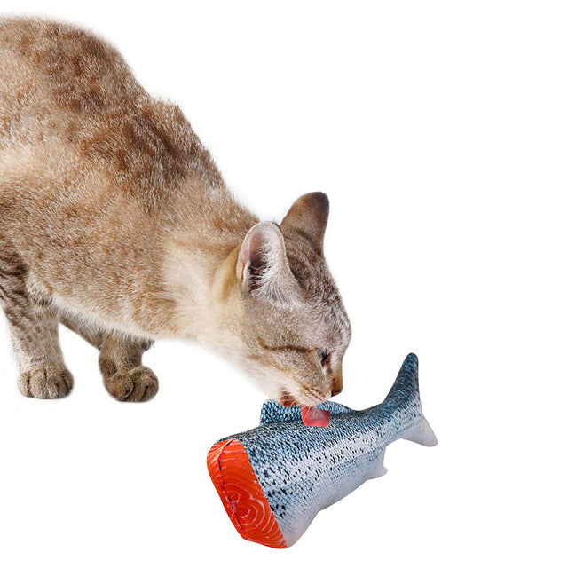 Creative Fish Shape Pet Toy