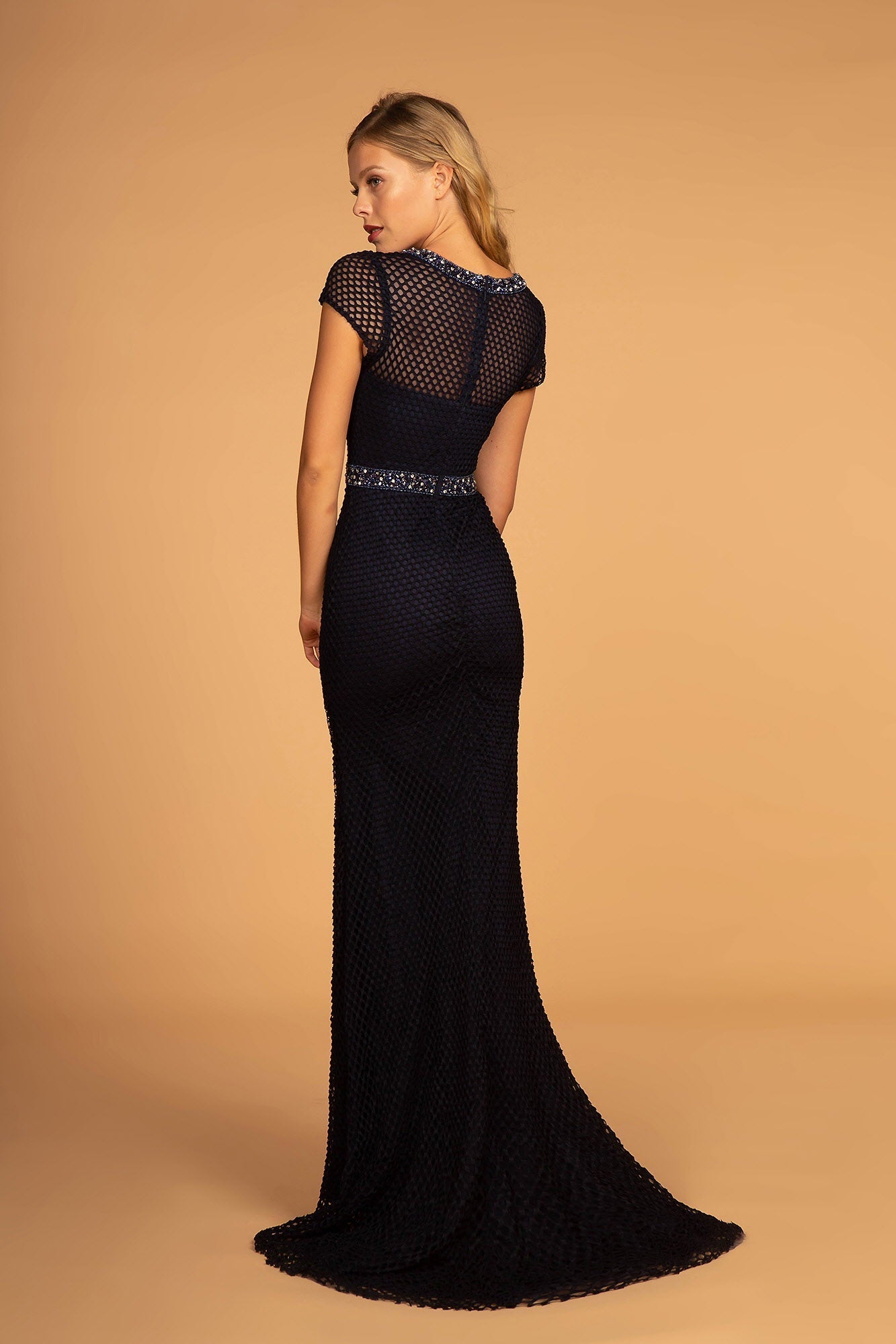 Short Sleeve Netting Mermaid Long Dress Tux-USA