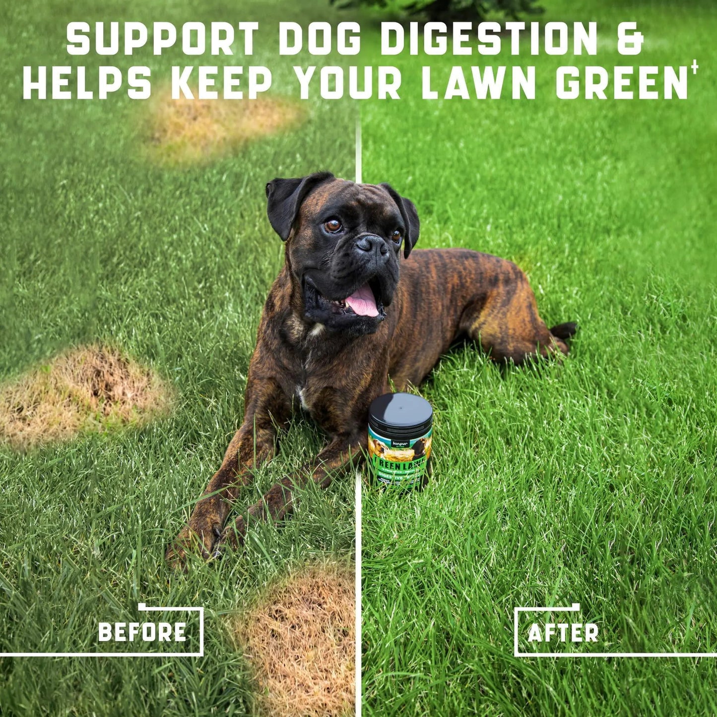 Green Lawn Chews for Dogs   Cranberry ACV Digestive Enzymes   Natural Dog Urine Best YouTube Store