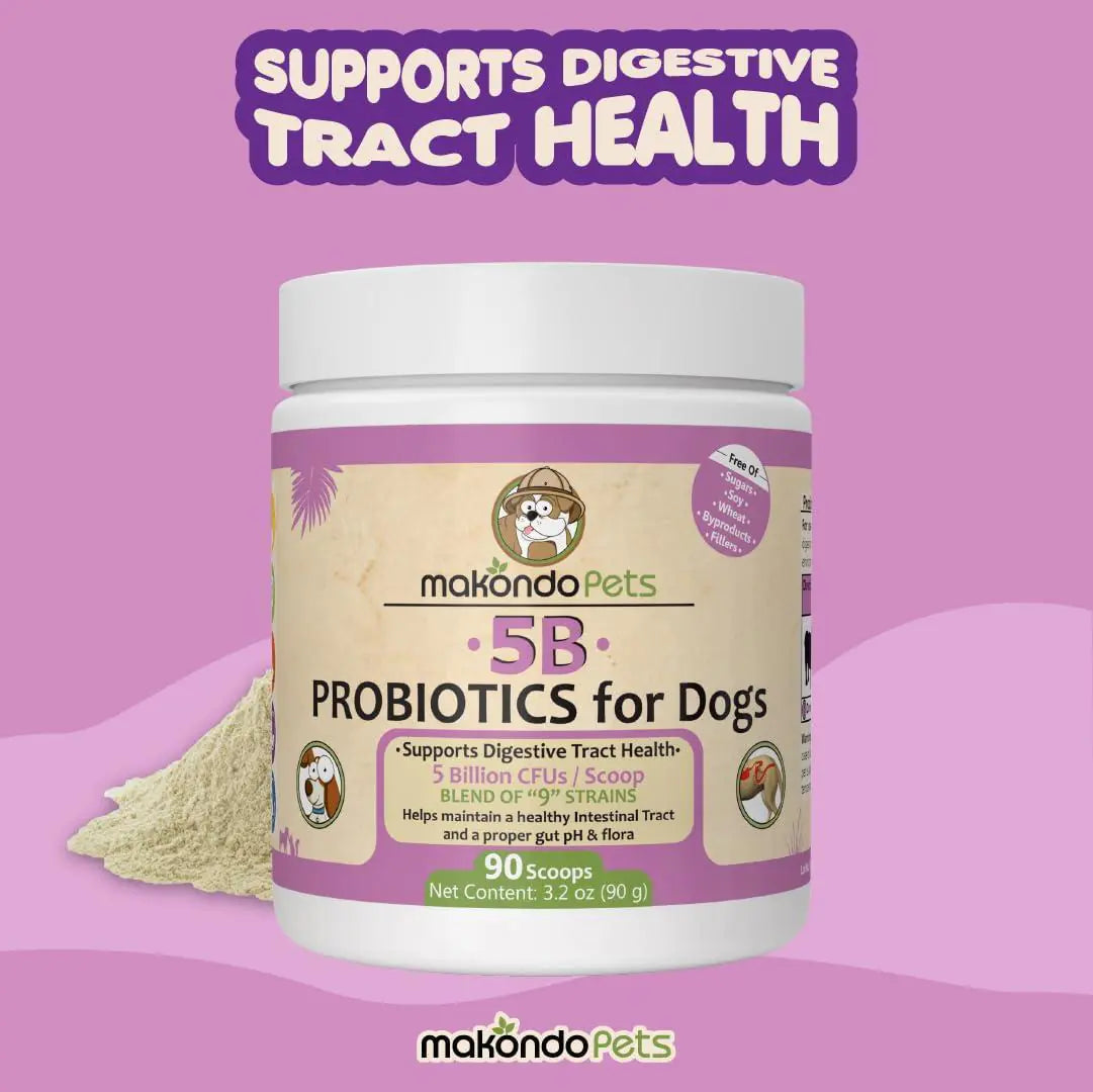Probiotics for Dogs Puppies Extra Strength 9 Species 5 Billion CFU per Scoop of Best YouTube Store