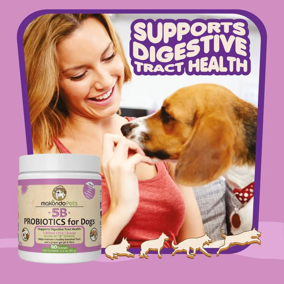 Probiotics for Dogs Puppies Extra Strength 9 Species 5 Billion CFU per Scoop of Best YouTube Store