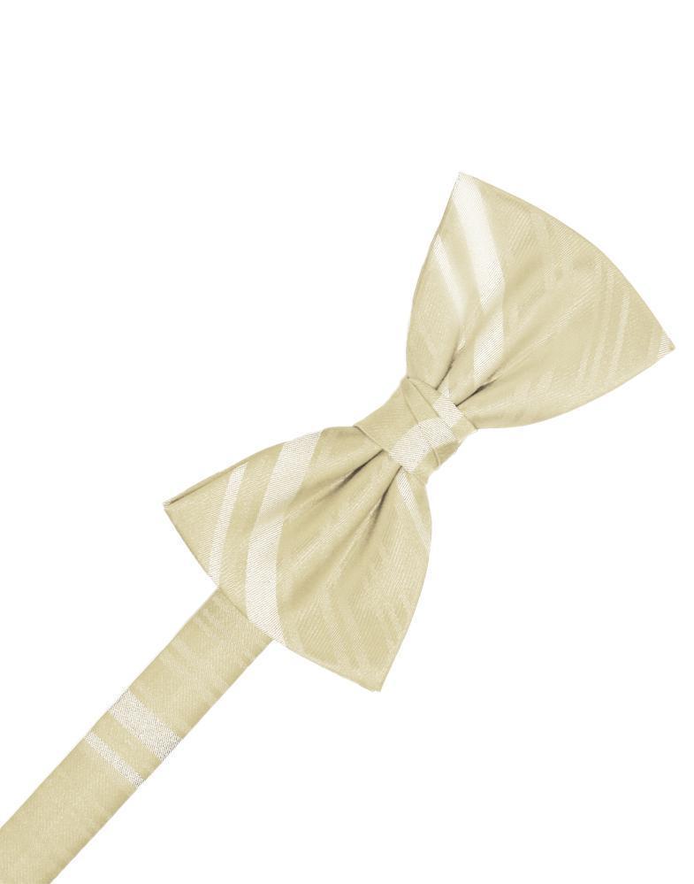 Striped Satin Kids Bow Tie Tux-USA