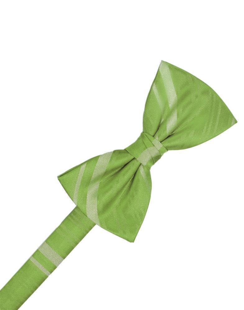 Striped Satin Kids Bow Tie Tux-USA