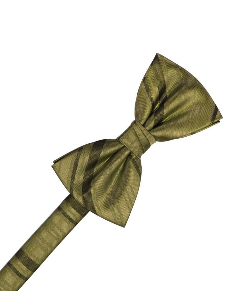 Striped Satin Kids Bow Tie Tux-USA
