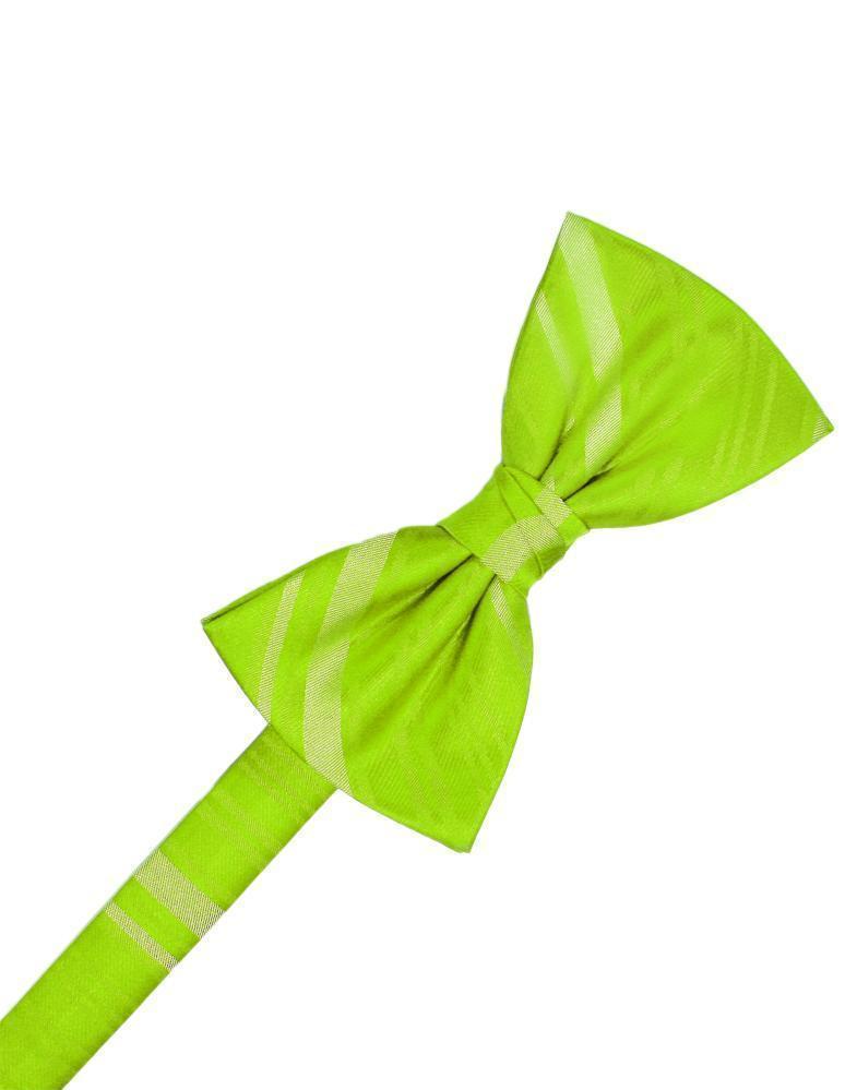 Striped Satin Kids Bow Tie Tux-USA