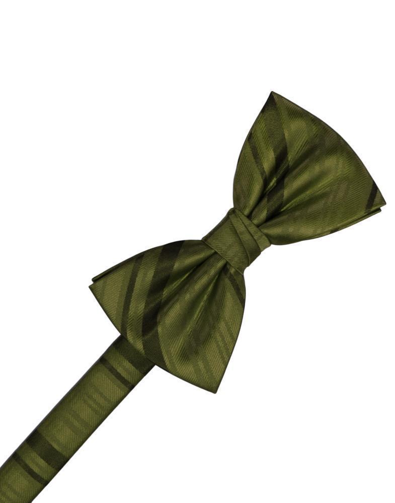 Striped Satin Kids Bow Tie Tux-USA