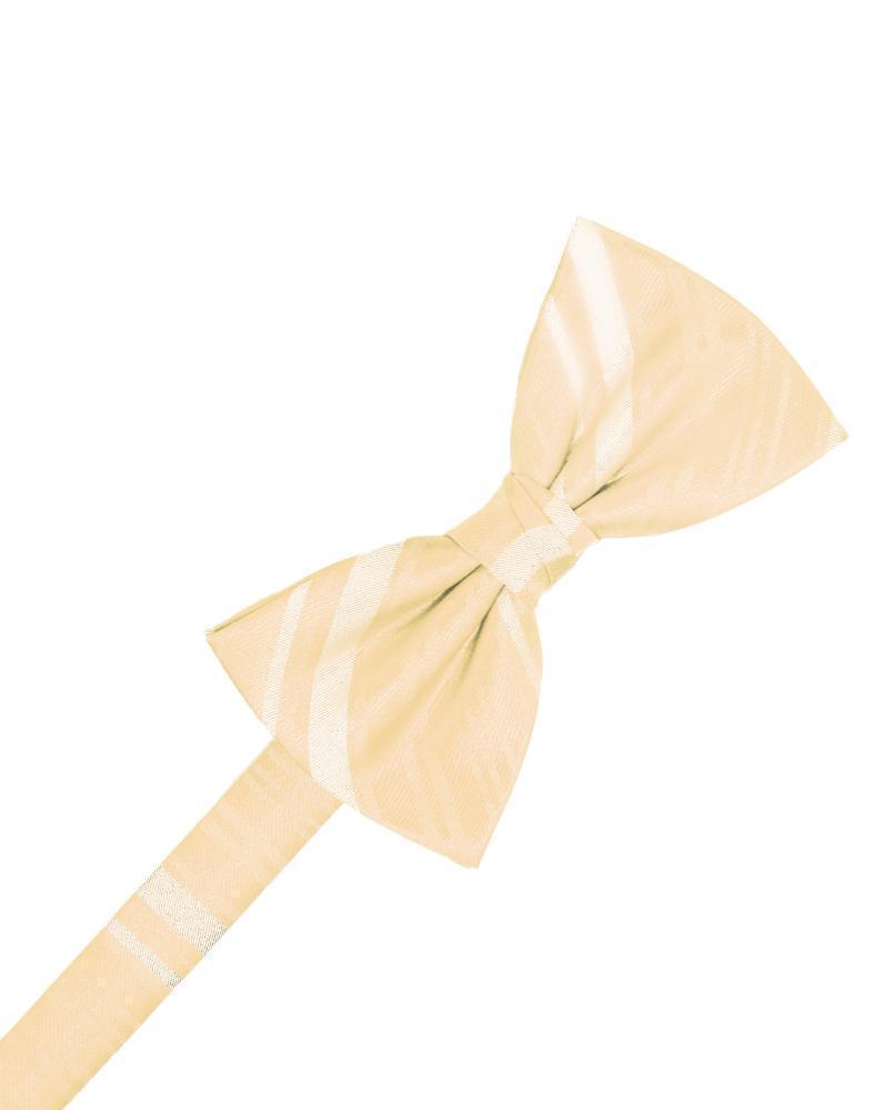Striped Satin Kids Bow Tie Tux-USA