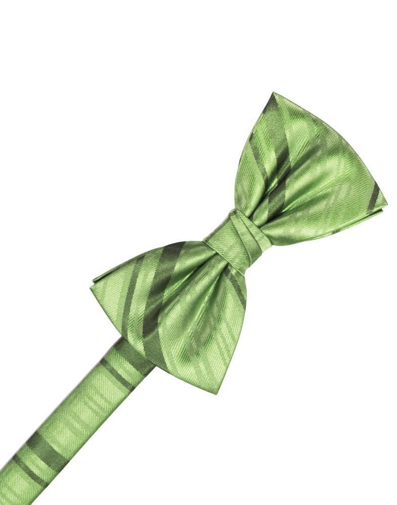Striped Satin Kids Bow Tie Tux-USA
