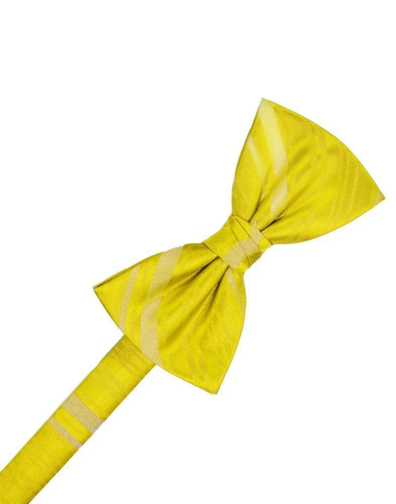 Striped Satin Kids Bow Tie Tux-USA