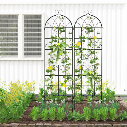 Costway 2 Pack 71" x 20" Heavy-Duty Metal Garden Trellis Metal Coating Patio for Outdoor W2B