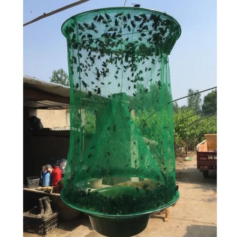 Green Fly Cages In The Community Street Fly Traps Fly Catchers Fly Killers Fly Trap