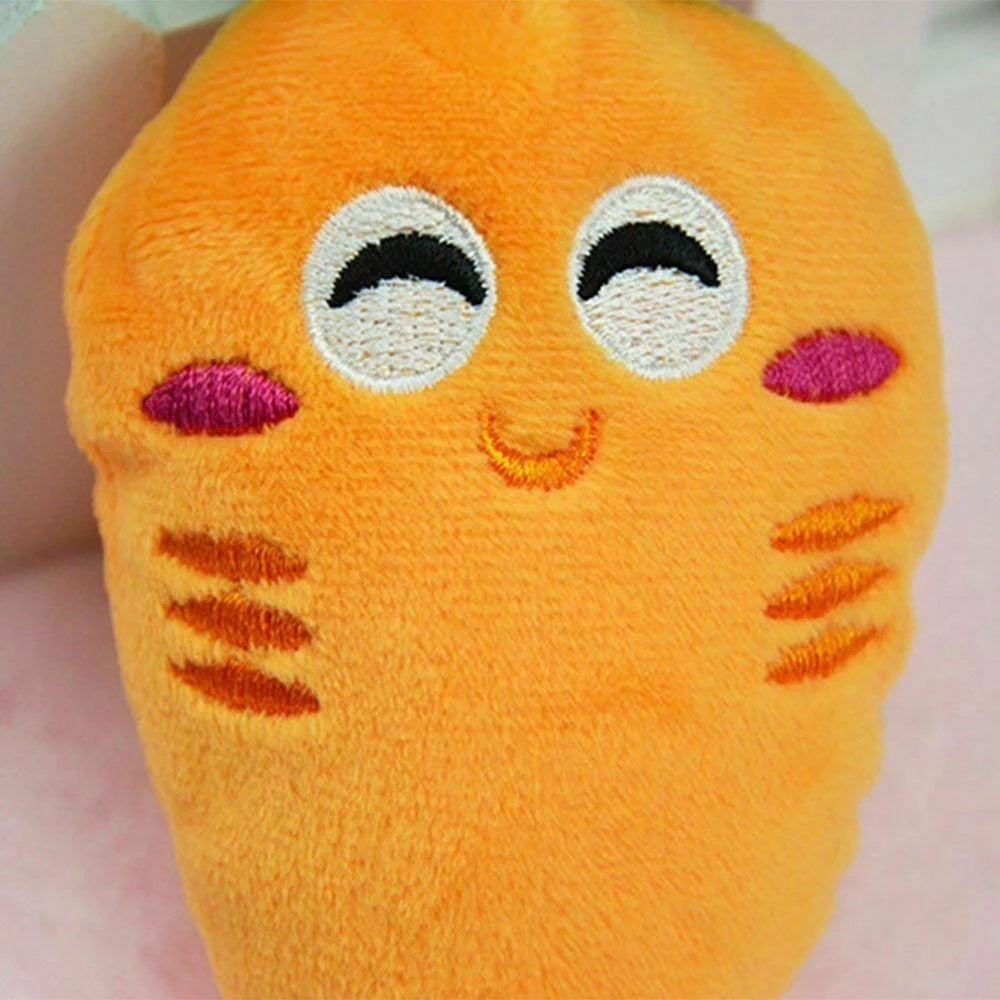 Carrot Pet Toy