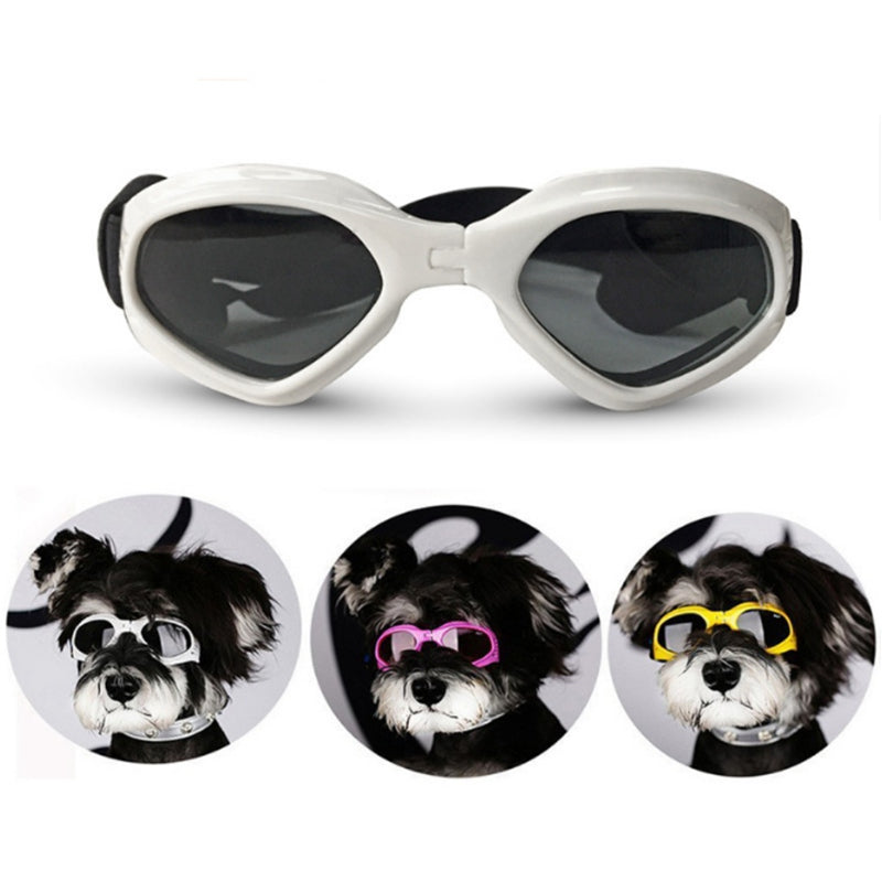 Dog Sunglasses